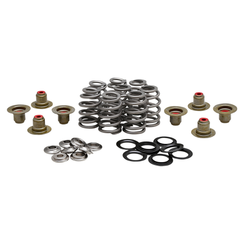 Kibblewhite Precision - Kibblewhite Precision Performance Rebuild Ovate Wire Beehive Valve Spring Kits - .625in. - 20-21800