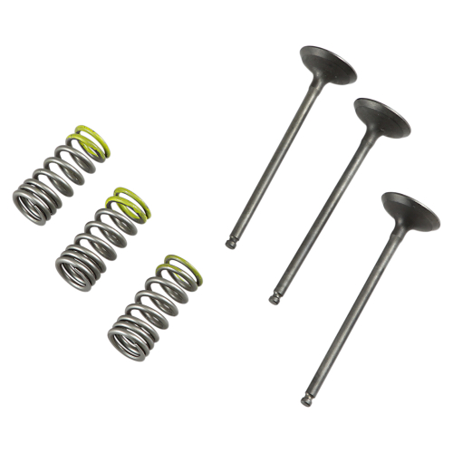 Pro-X - Pro-X Steel Intake Valve and Spring Kit - 28.SIS2402-2