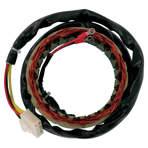 Ricks Motorsport Electric - Ricks Motorsport Electric Stator - 21-101