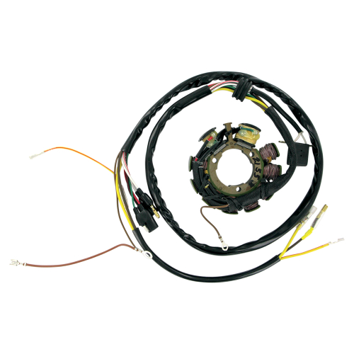 Ricks Motorsport Electric - Ricks Motorsport Electric Stator - 21-553