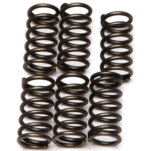 EBC - EBC CSK Clutch Spring Kit - CSK159