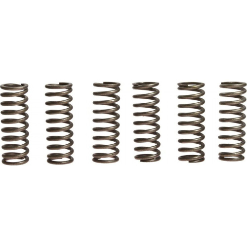 EBC - EBC CSK Clutch Spring Kit - CSK90