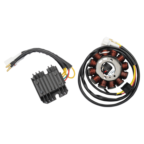 Ricks Motorsport Electric - Ricks Motorsport Electric Stator - 99-400