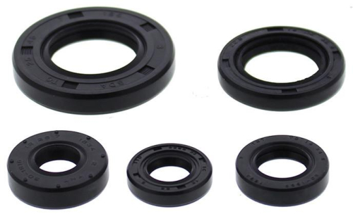 Vertex - Vertex Engine Oil Seal Kit - 822990