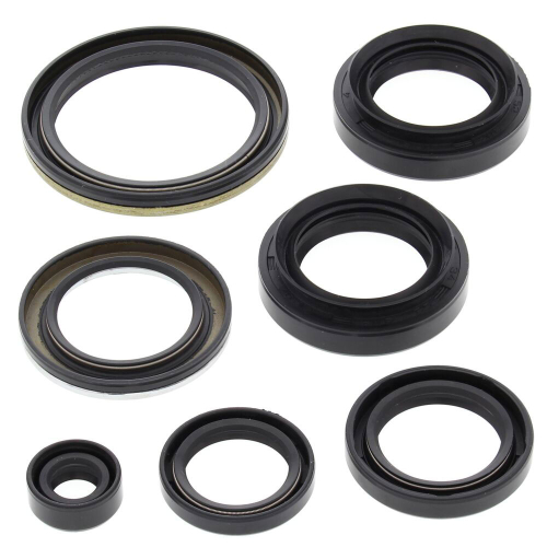 Vertex - Vertex Oil Seal Kit - 822239