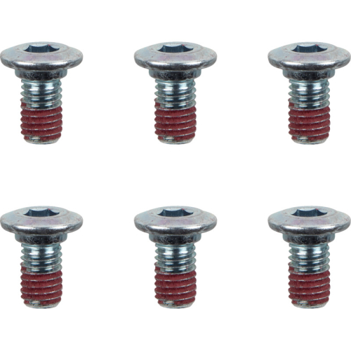 Moto-Master - Moto-Master Brake Rotor Bolts - M6x15 - 12013-PU