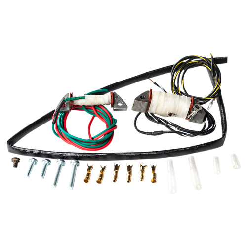 Ricks Motorsport Electric - Ricks Motorsport Electric Stator Rebuild Kit - 22-703