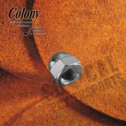 Colony - Colony Engine Nuts - Acorn Style - Chrome - 7816-1