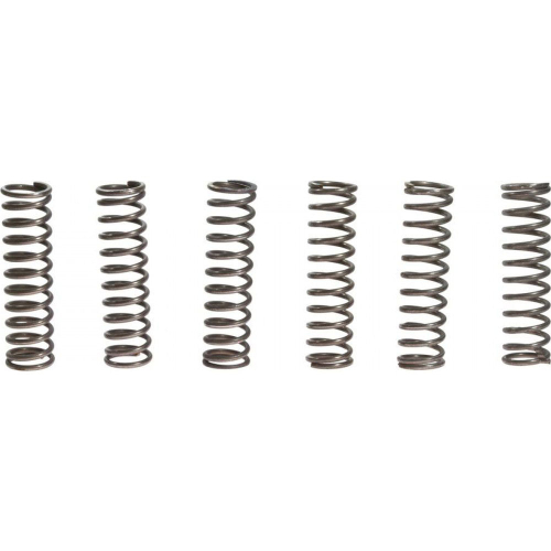 EBC - EBC CSK Clutch Spring Kit - CSK109