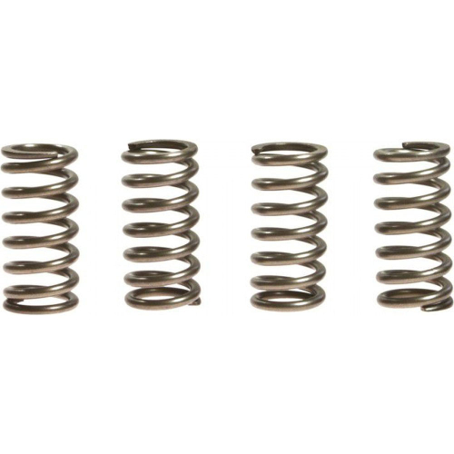 EBC - EBC CSK Clutch Spring Kit - CSK105
