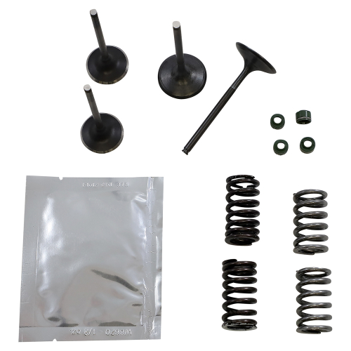 Wiseco - Wiseco Garage Buddy Steel Valve Kit - 64.0926-3061