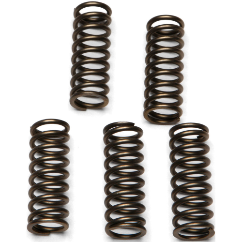 EBC - EBC CSK Clutch Spring Kit - CSK112