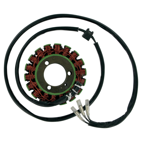 Ricks Motorsport Electric - Ricks Motorsport Electric Stator - 21-303