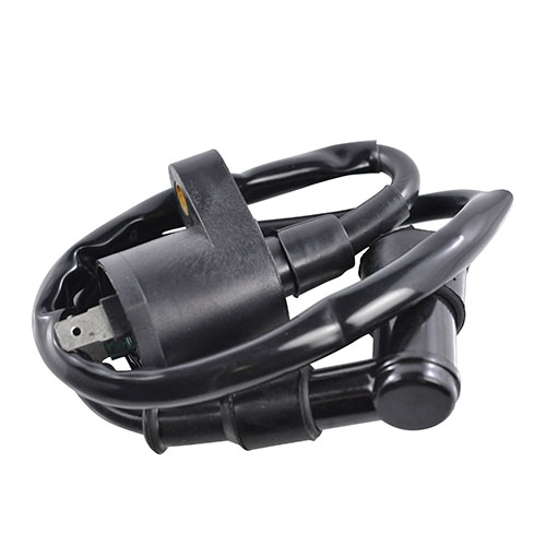 RM Stator - RM Stator Ignition Coil - RM06001