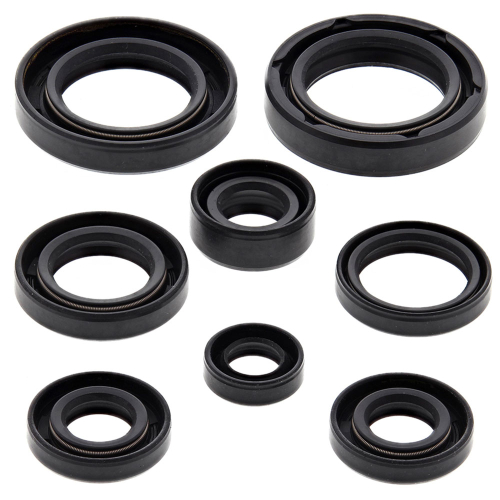 Vertex - Vertex Oil Seal Kit - 822130