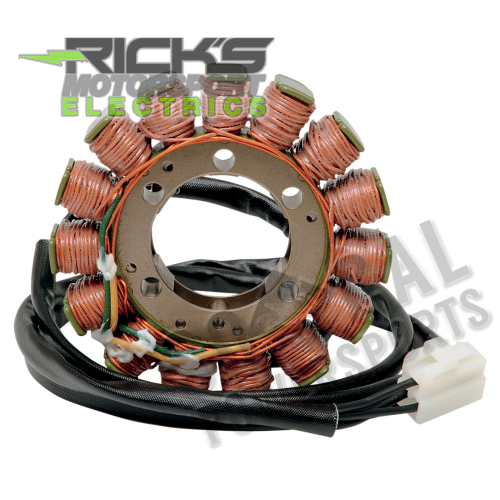 Ricks Motorsport Electric - Ricks Motorsport Electric Stator - 21-017