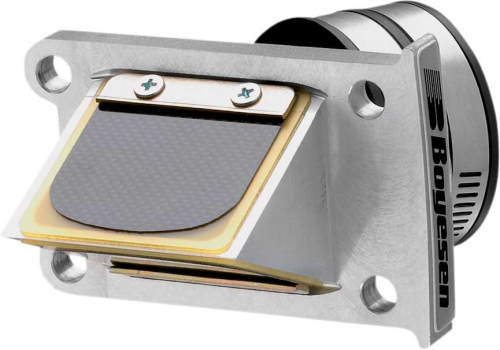 Boyesen - Boyesen Rad Valve - RAD-30C