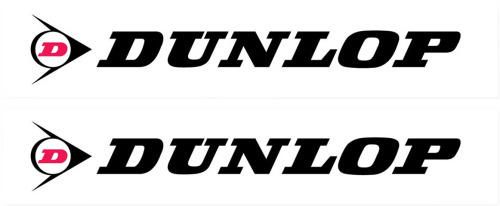 Factory Effex - Factory Effex Generic Fork and Swingarm Stickers - Dunlop - White - 02-7069
