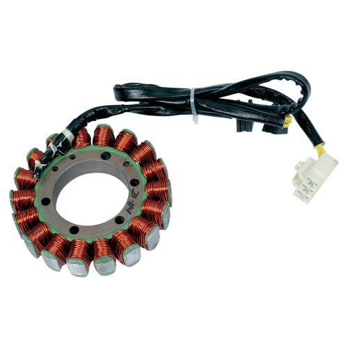 Ricks Motorsport Electric - Ricks Motorsport Electric Stator - 21-114