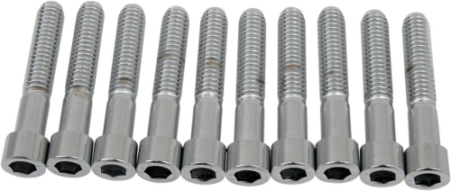 Drag Specialties - Drag Specialties Coarse-Thread Socket-Head Bolts - 5/16in.-18 x 1 3/4in. - MPB220S