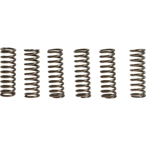 EBC - EBC CSK Clutch Spring Kit - CSK92
