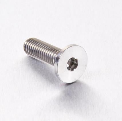 Pro Bolt - Pro Bolt Brake Rotor Bolt - M8 x 28mm - Titanium - TIDISCBMW001