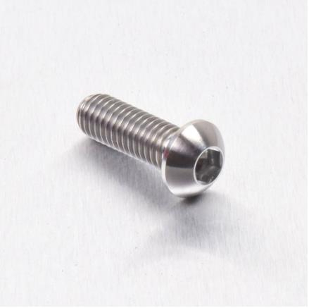 Pro Bolt - Pro Bolt Brake Rotor Bolt - M6 x 17mm - Titanium - TIDISCBMW002