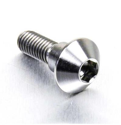 Pro Bolt - Pro Bolt Brake Rotor Bolt - M6 x 20mm - Titanium - TIDISCR1R6