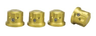 Rooke Customs - Rooke Customs Headbolt Covers - Gold - R-HBC01-R6