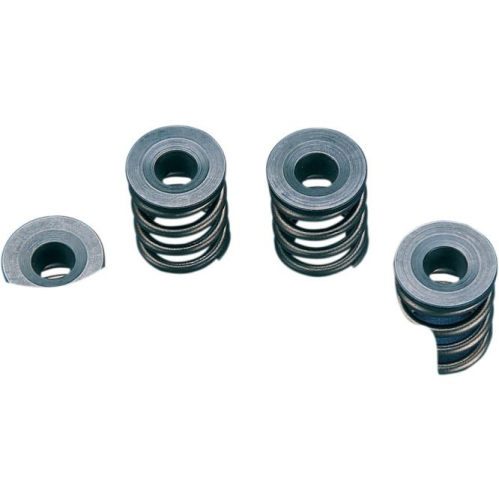 Manley - Manley Valve Spring Kit - .490in. Lift - 99217K