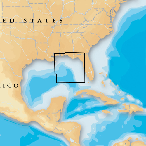 Navionics - Navionics Platinum+ - East Gulf of Mexico - microSD&trade;/SD&trade;