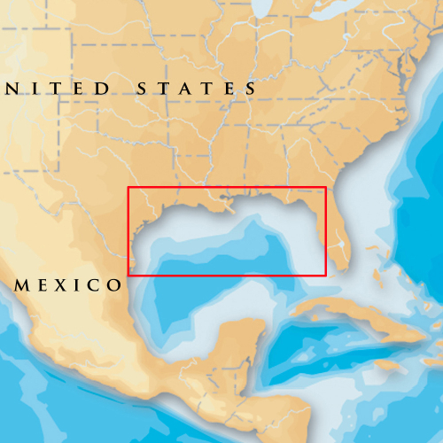 Navionics - Navionics Platinum+ - Gulf Of Mexico - microSD&trade;/SD&trade;