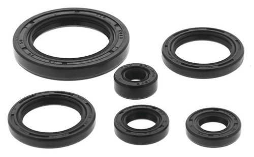 QuadBoss - QuadBoss Oil Seal Set - 822978