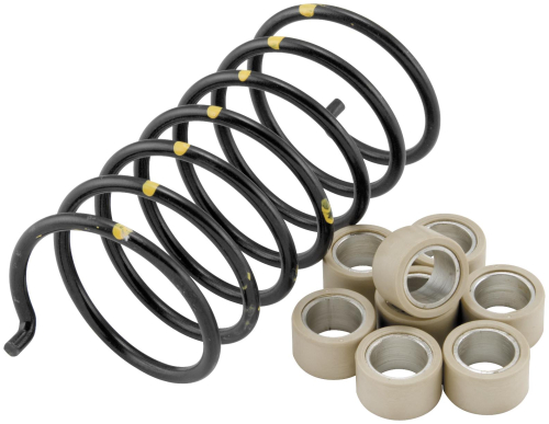 Dalton Clutches - Dalton Clutches Clutch Kit - DMT500C