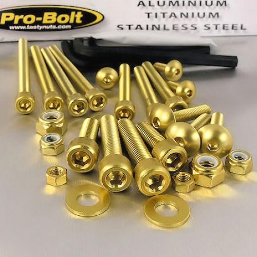 Pro Bolt - Pro Bolt 25-Piece Workshop Kit (Bolts, Nuts & Washers) - Gold - WSKIT25-G