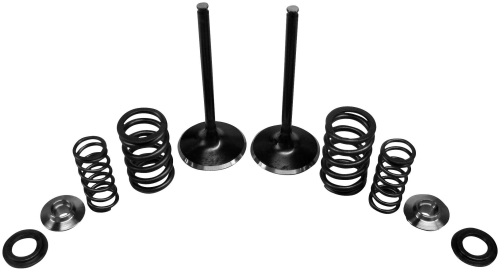 Kibblewhite Precision - Kibblewhite Precision Exhaust Only Stainless Conversion Valve/Spring Kit - 60-61010