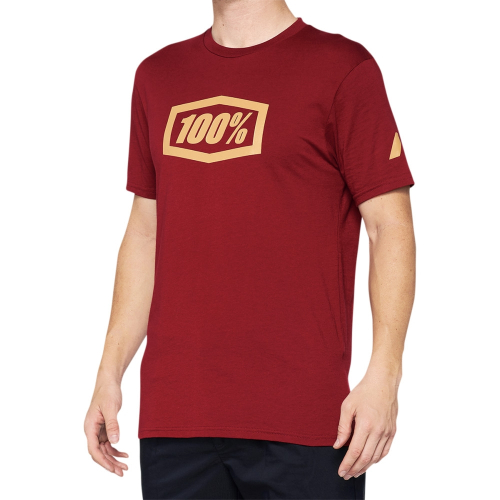 100% - 100% Essential T-Shirt - 32016-068-12 - Brick - Large