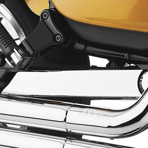 Cobra - Cobra Swingarm Cover - 06-0618