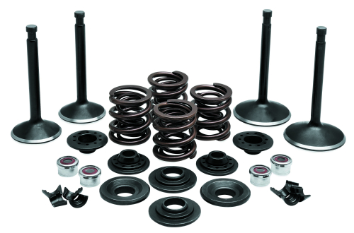 Twin Power - Twin Power Engine Kit - T20-20930