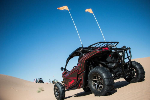 Dragonfire Racing - Dragonfire Racing LED Light Whip with Quick Release - 6ft. - 11-0019