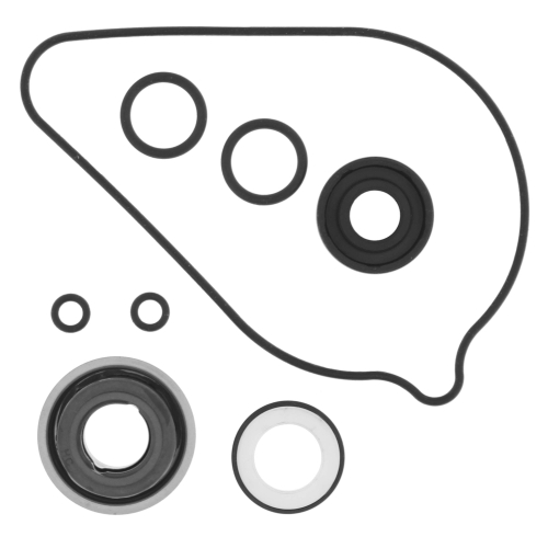 QuadBoss - QuadBoss Water Pump Rebuild Kit - 821947