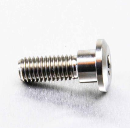 Pro Bolt - Pro Bolt Brake Rotor Bolt - M8 x 24mm - Titanium - TIDISCHONRE