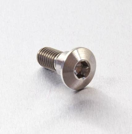 Pro Bolt - Pro Bolt Brake Rotor Bolt - M8 x 22mm - Titanium - TIDISCSUZ20