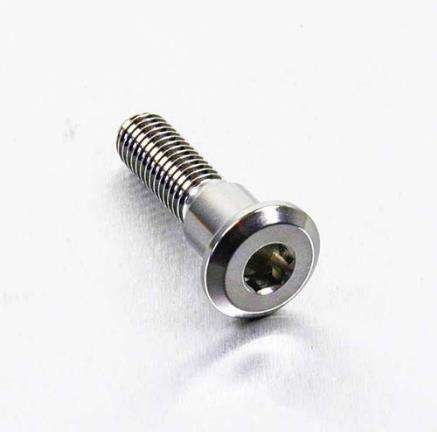 Pro Bolt - Pro Bolt Brake Rotor Bolt - M8 x 33mm - Stainless Steel - LSSDISCGSXR