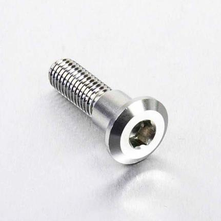 Pro Bolt - Pro Bolt Brake Rotor Bolt - M8 x 30mm - Stainless Steel - LSSDISCTRIFR