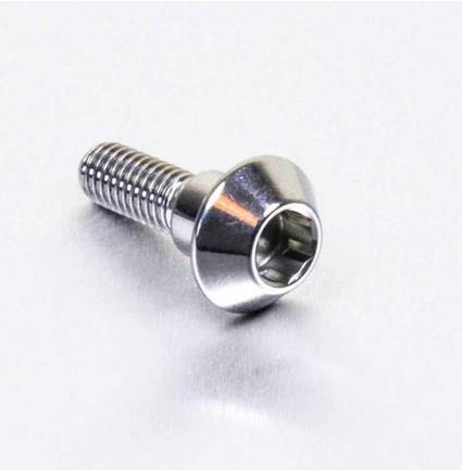 Pro Bolt - Pro Bolt Brake Rotor Bolt - M6 x 20mm - Stainless Steel - LSSDISCR1R6