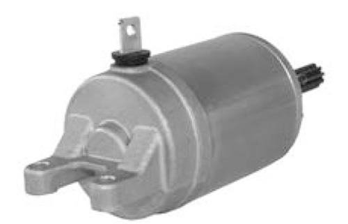 Wild Boar - Wild Boar Starter - SND0572