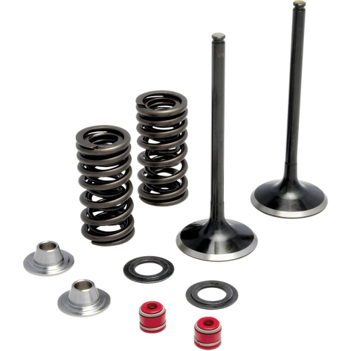 Moose Racing - Moose Racing Exhaust Valve Kit - 0926-2443