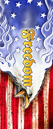 Missing Link - Missing Link ArmPro Compression Sleeves - APAFES - American Freedom - X-Small