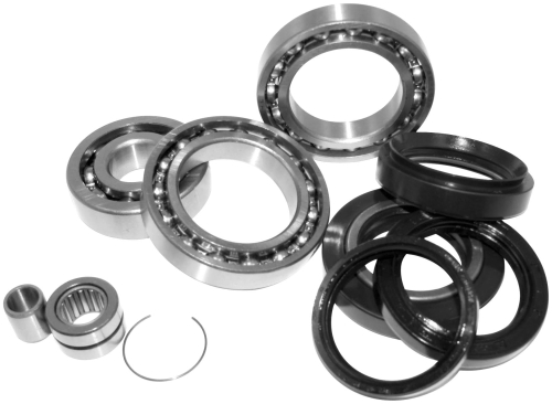 QuadBoss - QuadBoss Differential Bearing and Seal Kit - 25-2081